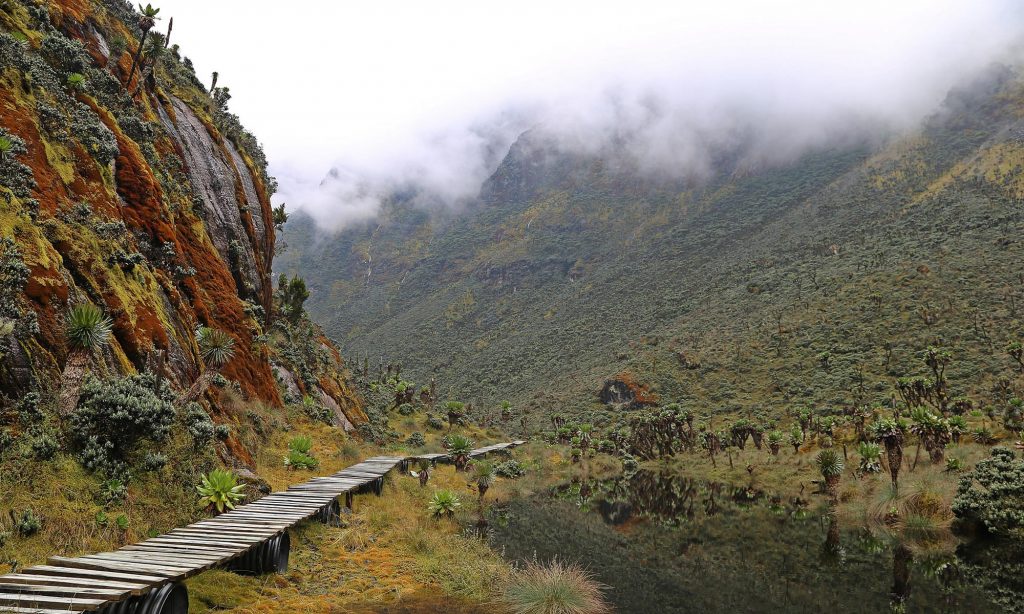 Rwenzori Mountains