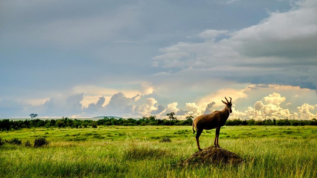 Lake Mburo National Park