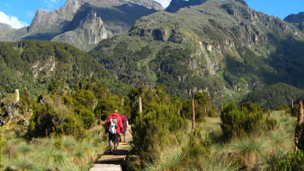 Mount Elgon National Park