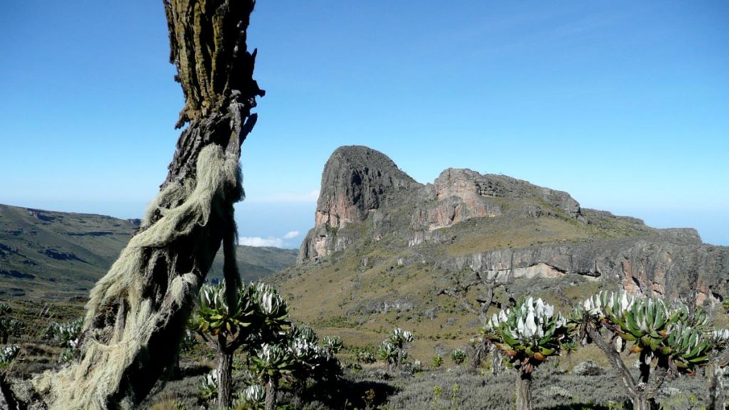 Mount Elgon National Park